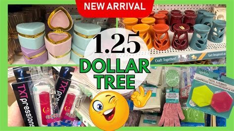 new items at dollar tree 2024